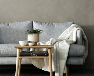 sofa with coffee table and vastu shastra plant