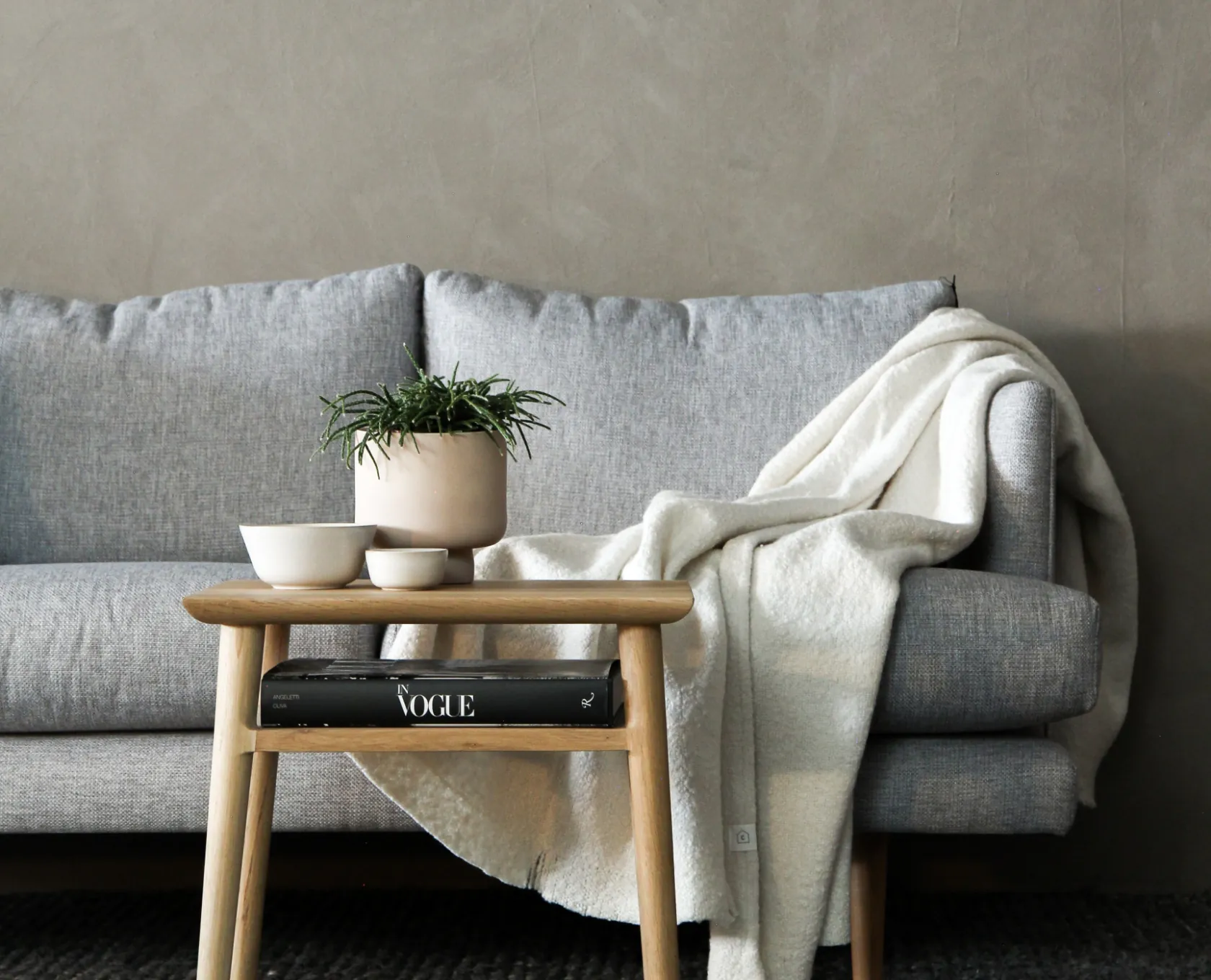 sofa with coffee table and vastu shastra plant